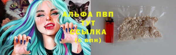 spice Алзамай