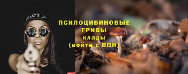 spice Алзамай