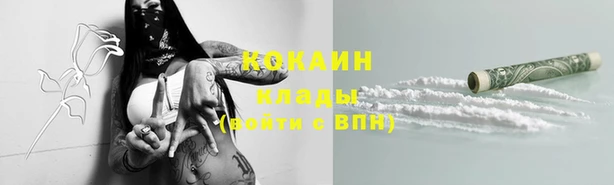 spice Алзамай