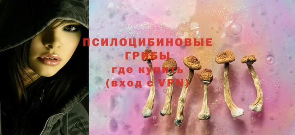 мескалин Алексин