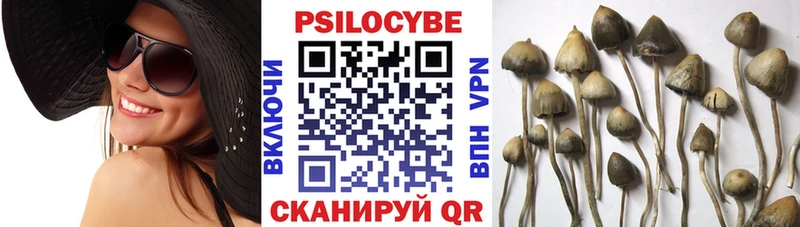 сколько стоит Нижний Ломов нарко площадка наркотические препараты Галлюциногенные грибы Magic Shrooms